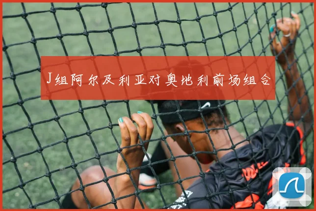 J组阿尔及利亚对奥地利前场组合