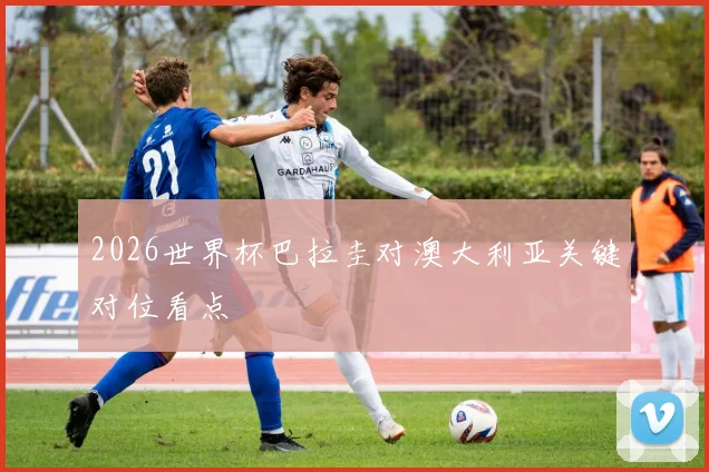 2026世界杯巴拉圭对澳大利亚关键对位看点