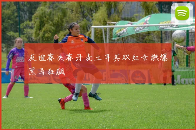 友谊赛决赛丹麦土耳其双红会燃爆黑马狂飙
