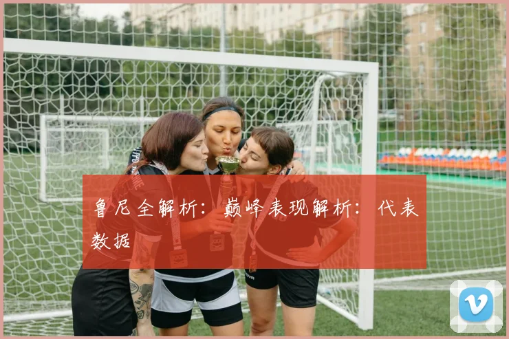 鲁尼全解析:巅峰表现解析:代表数据